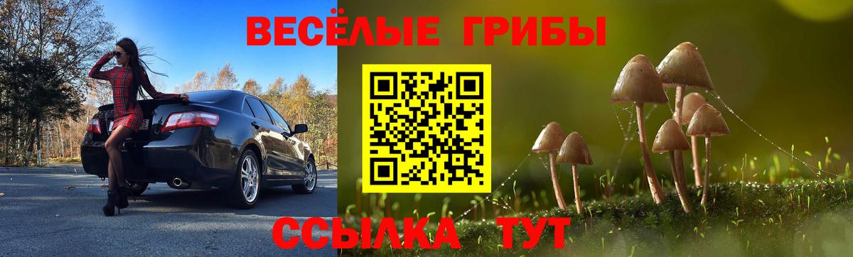 Псилоцибиновые грибы мицелий  Вход с VPN  Дедовск 
